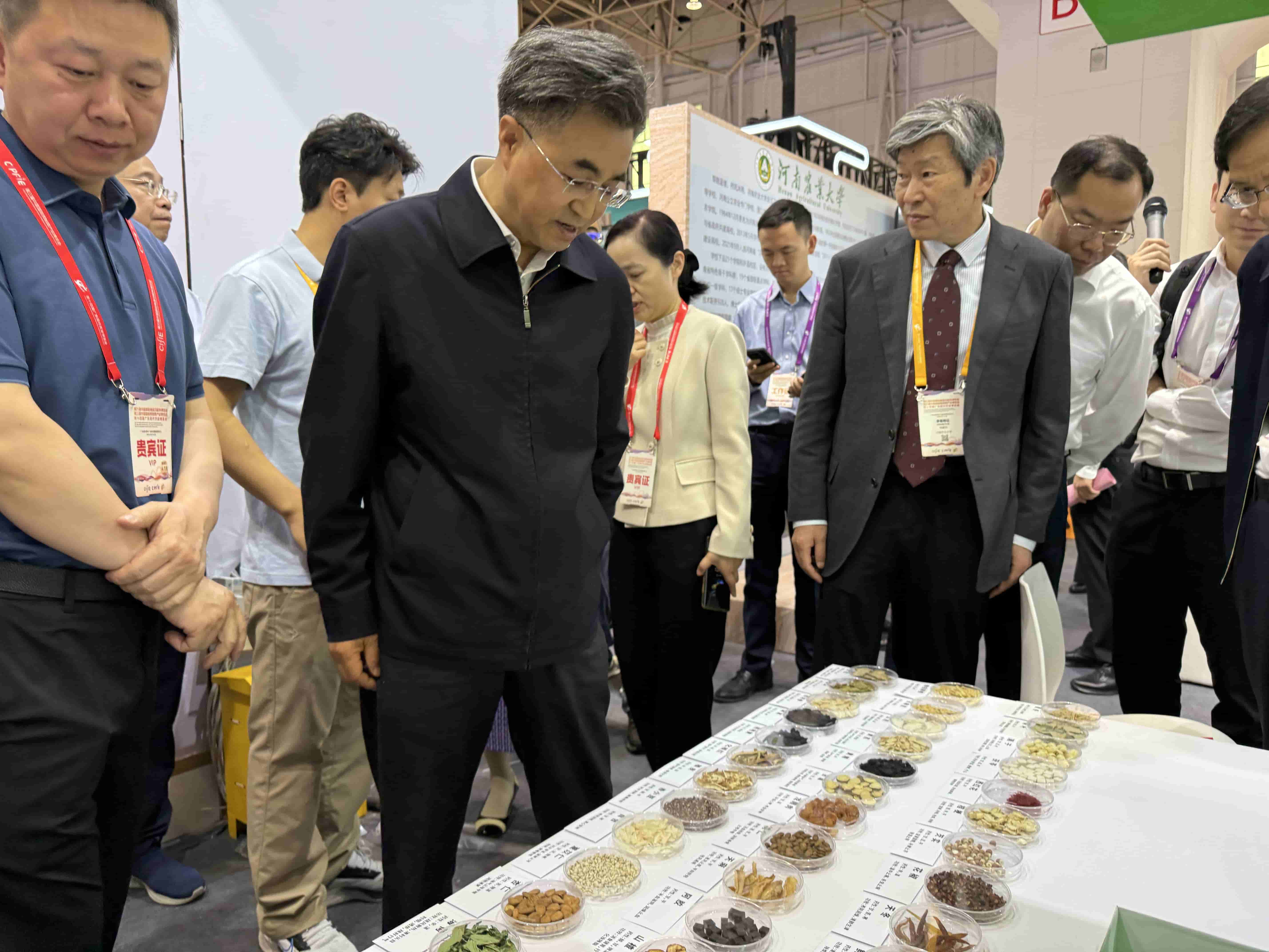 东莞食博会专题